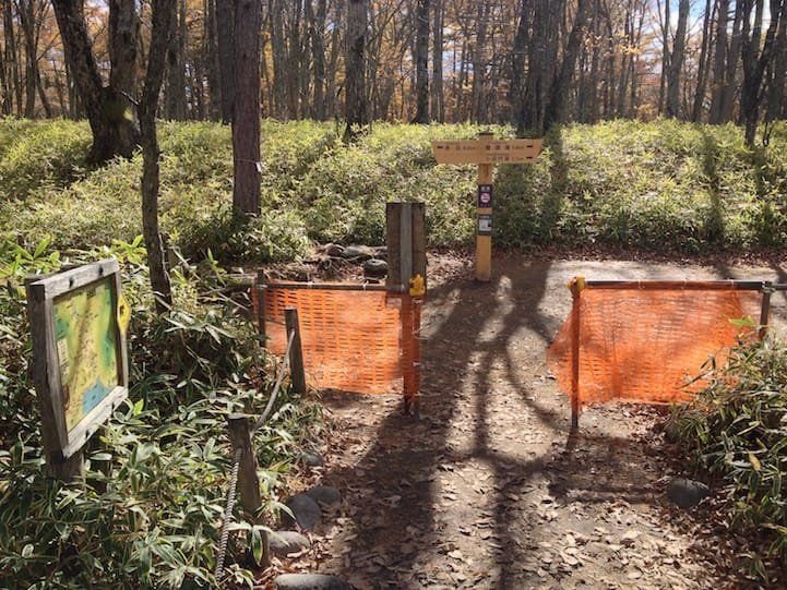There is a trail closing since the bear sighting.