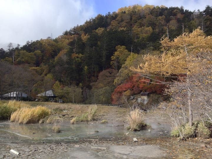 North of Lake Yu (yunoko), there are Japanese Maple trees and birch around Yumoto onsen.