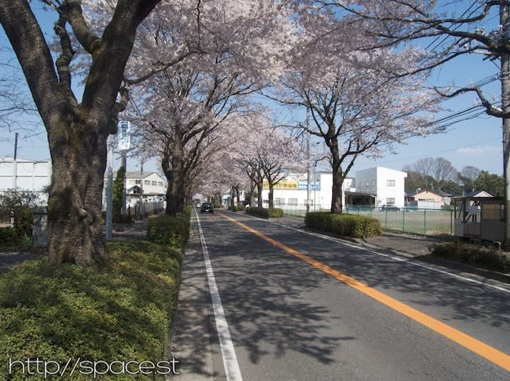 sakura Nikko Kaido