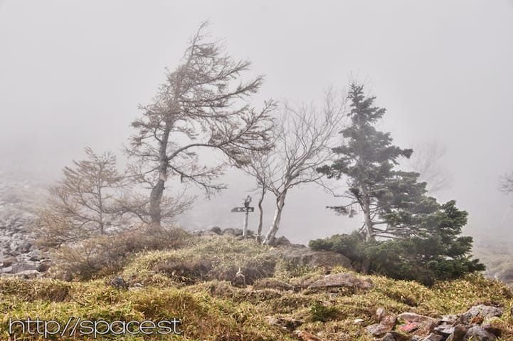 Abstract trees surrounded by mist on Nyoho Mountain, Nikko Japan