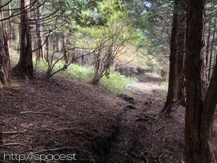 the path at the base of Nyoho Mountain near the Nikko Unesco World Heritage Area