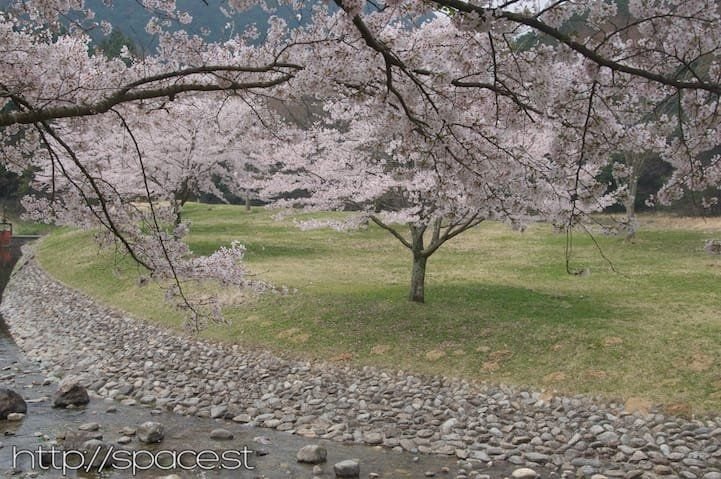 near the river and pool area