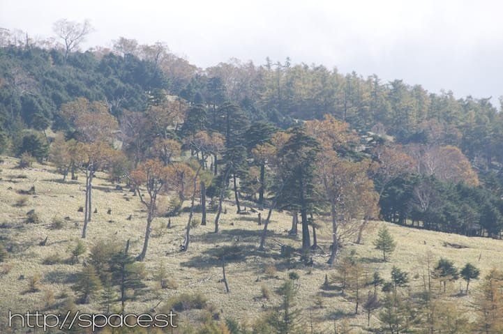 Barren high-altitude landscape on Nyoho Mountain ridge, Nikko Japan