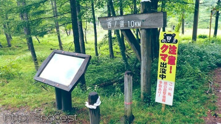Sainoko Lake Sai trail signpost, 1km remaining, bear warning, Nikko National Park