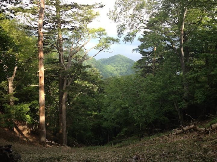 Hiking Takayama (hawk mountain)