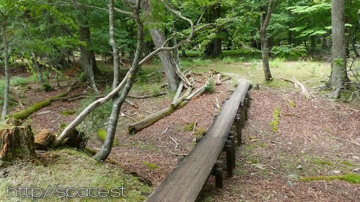 Wooden planks leaving Senjugahama beach toward Lake Sai, Nikko National Park
