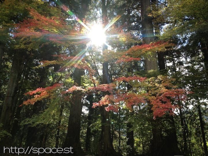 Starting the hike in the Nikko Unesco World Heritage area near Futarasan Shrine