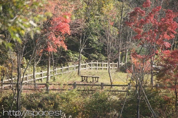 A peaceful park beside the Daiya River near Nikko