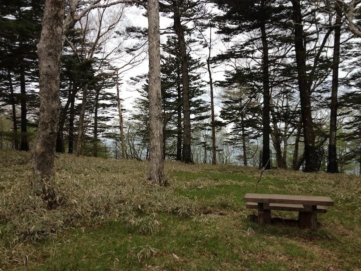 There is certainly much wildlife in this area. Sit down and enjoy the bird chirps and smaller creatures