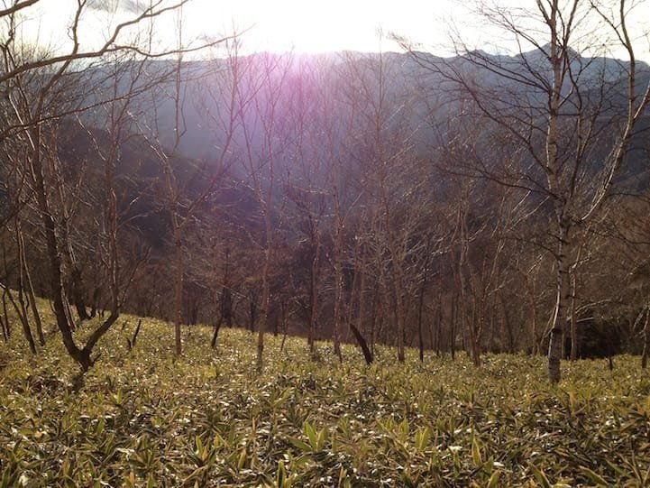 surrounded by beautiful landscapes