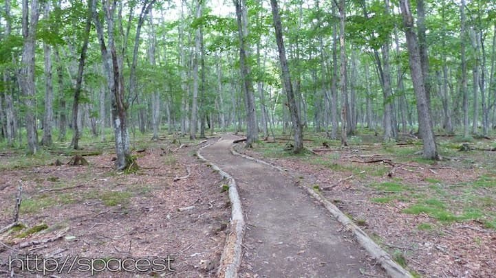 Almost flat trail from Lake Chuzenji to Lake Sai, Nikko National Park