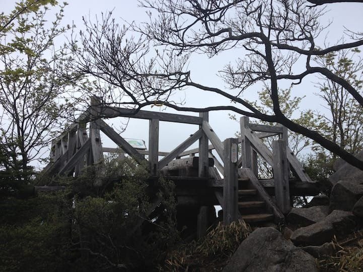 Hangetsu Mountain peak surrounded by trees with no view, Nikko Japan
