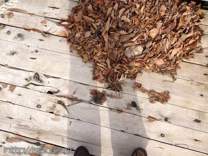 Shobugahama pier with autumn leaves, Lake Chuzenji, Nikko Japan