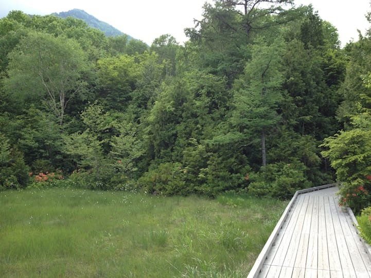 Small meadow section on the Lake Yu hiking trail, Nikko National Park