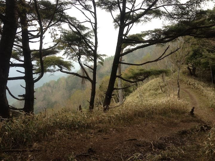 The trail splits again from the road and is at a slight incline for several minutes