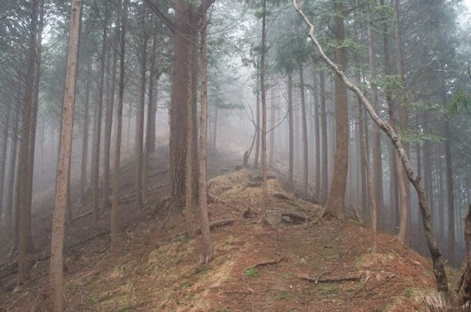 For a good part of the trail, you hike the ridge line