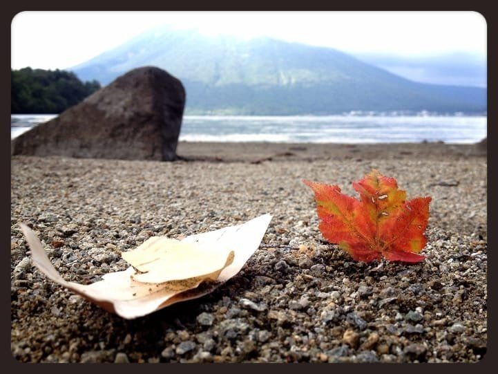 Autumn koyo leaves, birch trees, Lake Chuzenji and Nantai Mountain from the Hangetsu lakeside return