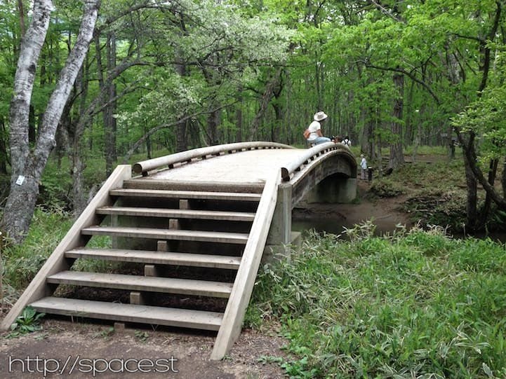 Wooden footbridge on the Senjogahara trail, Nikko National Park