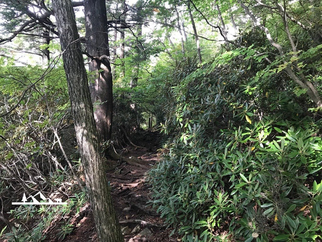 Lake Chuzenji south shore hiking trail through forest, Section 2, Nikko National Park