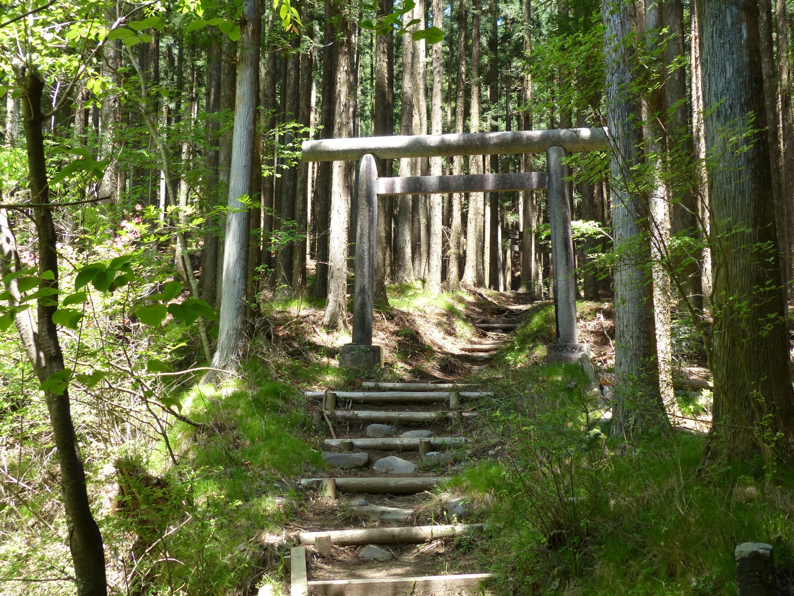First stone torii gate and log steps at the start of the Mount Toyama hiking trail, Nikko Japan