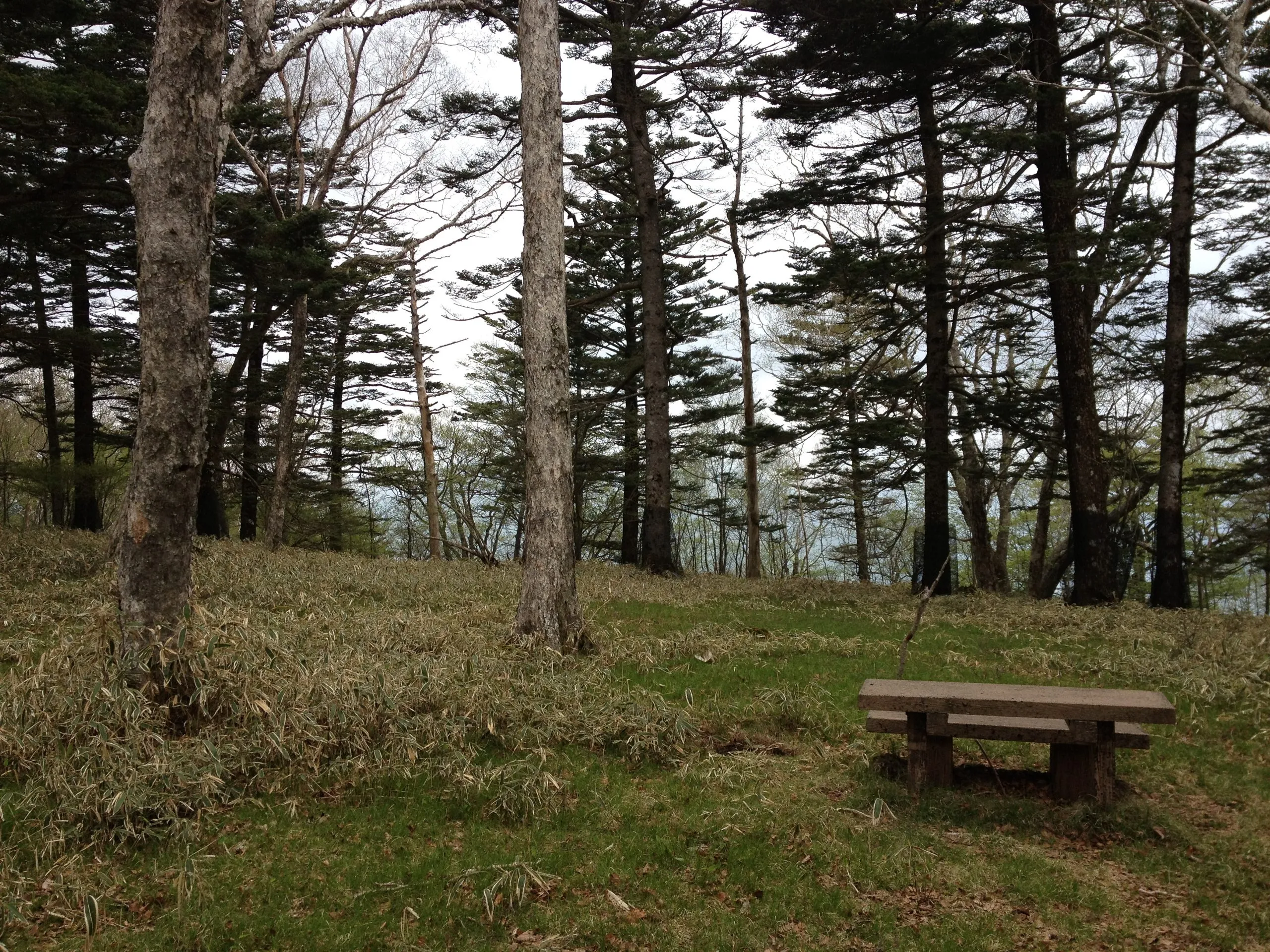 Mostly covered by the growth and vegetation of the area, the Chanoki Daira (Plateaux) is a great spot for a little break.  There are several sets of benches to sit down at