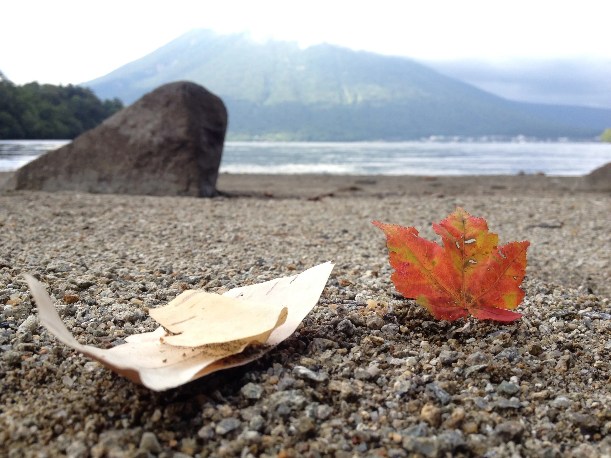 Koyo, Birch, Chuzenji Lake and Nantai Mountain