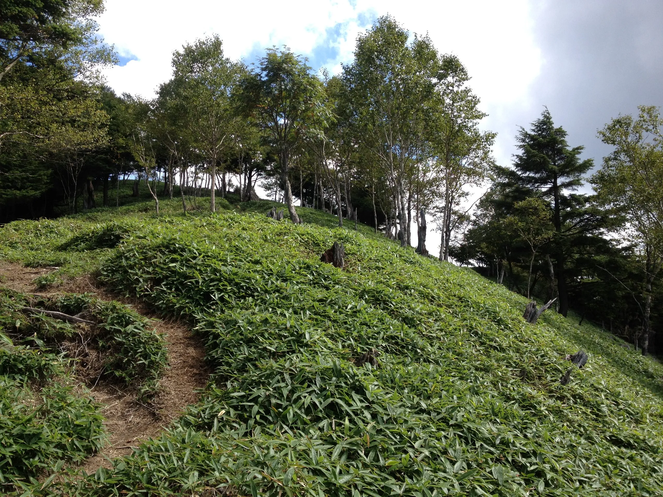 Open grassy ridge nearing the half-moon lookout, Hangetsu, Nikko Japan