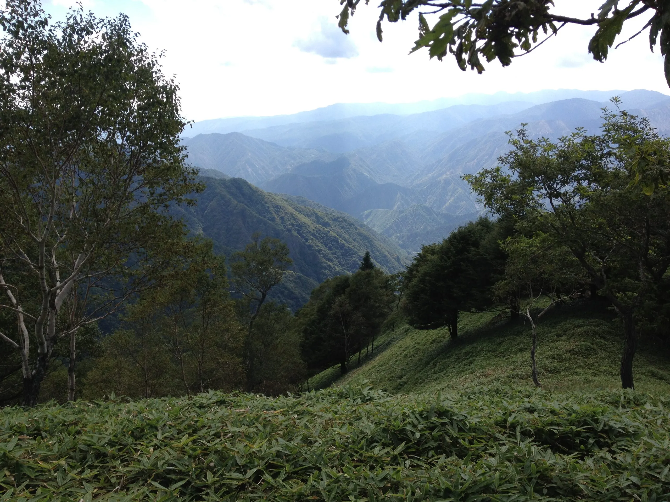 Grassy ridge below the Hangetsu observation deck, Nikko Japan