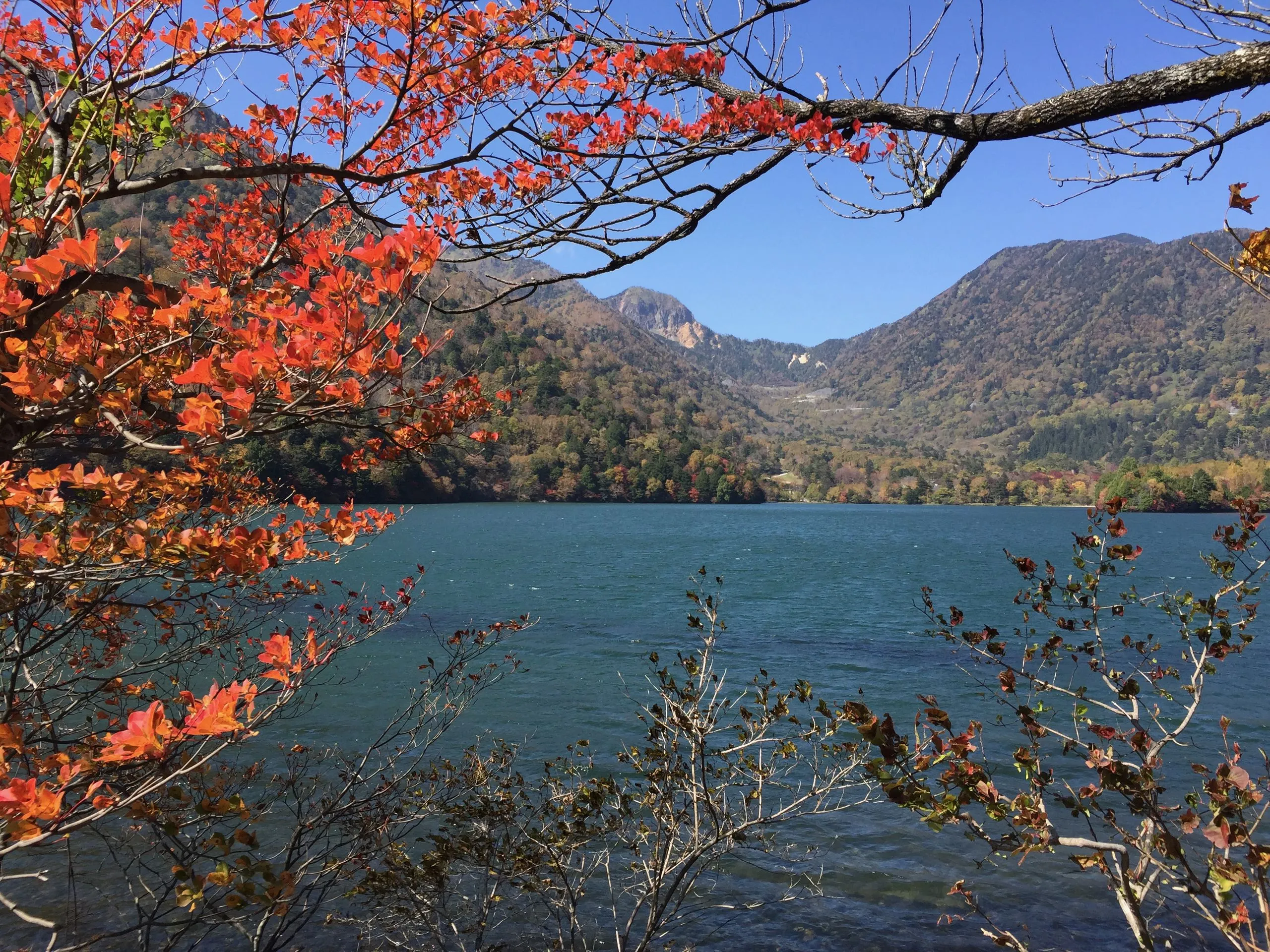 Red maple framing Lake Yu and the surrounding mountains, Yunoko, Nikko Japan