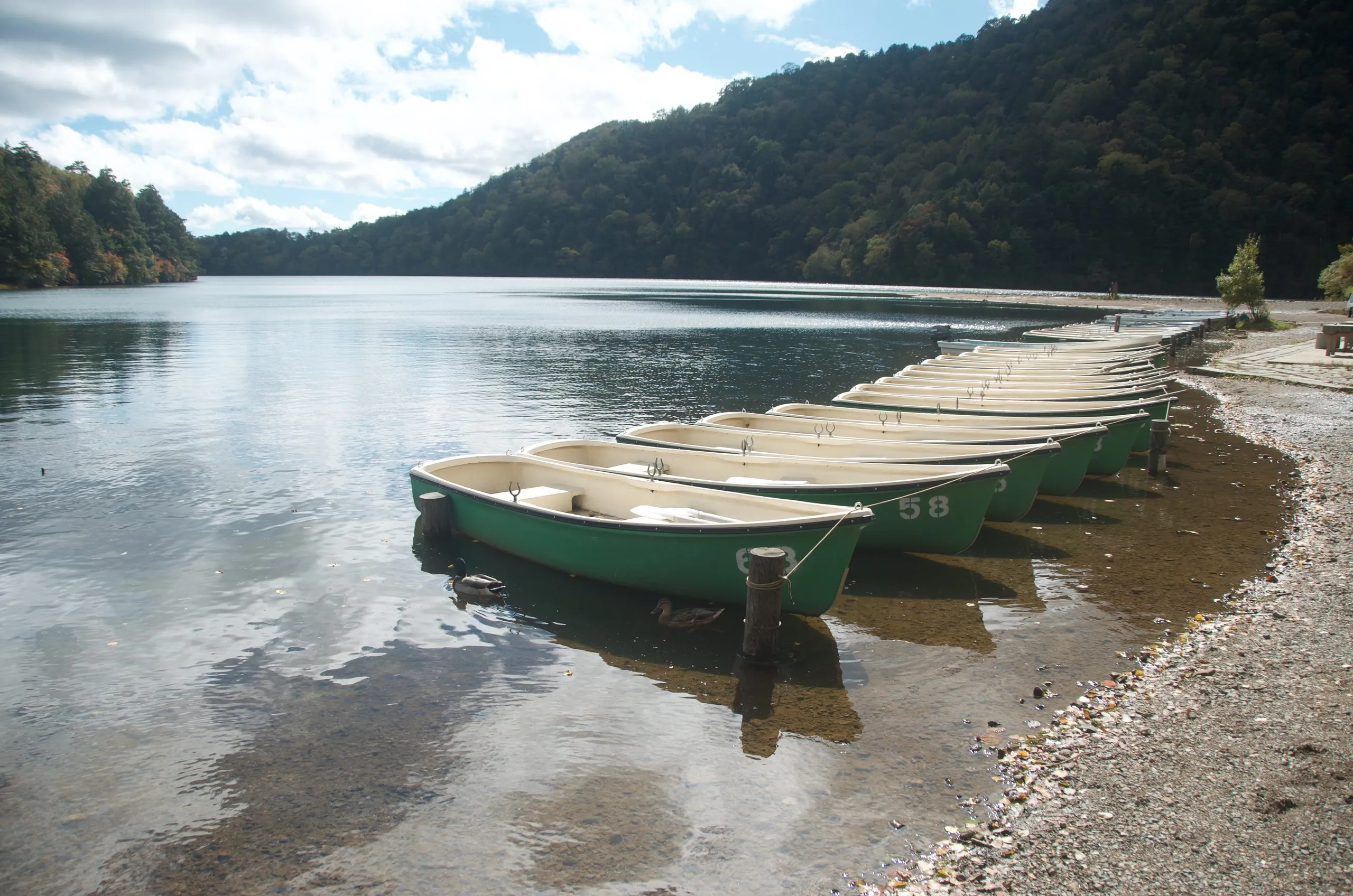 Rental rowing boats on the shore of Lake Yu, Yunoko, Nikko Japan