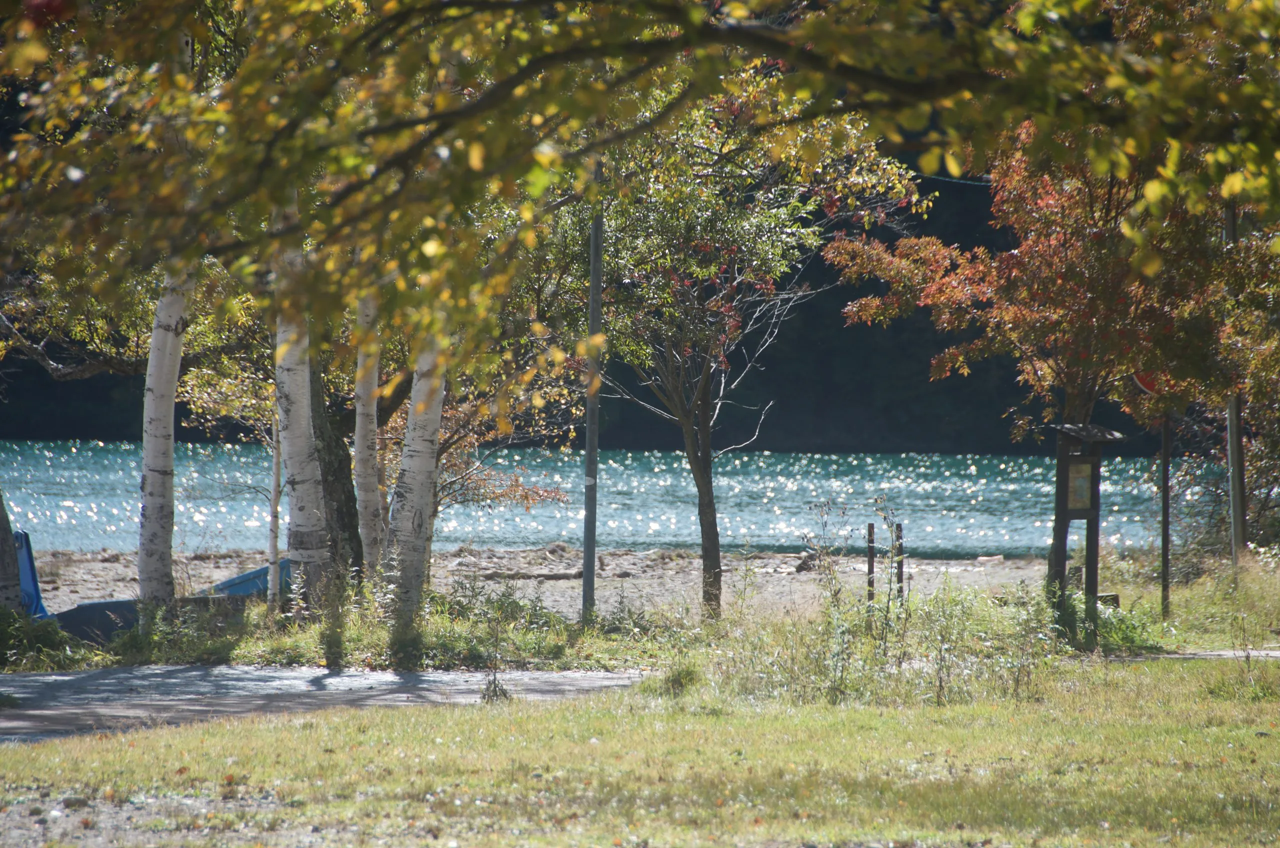 Sunlight shimmering on Lake Yu through shoreline trees, Yunoko, Nikko Japan