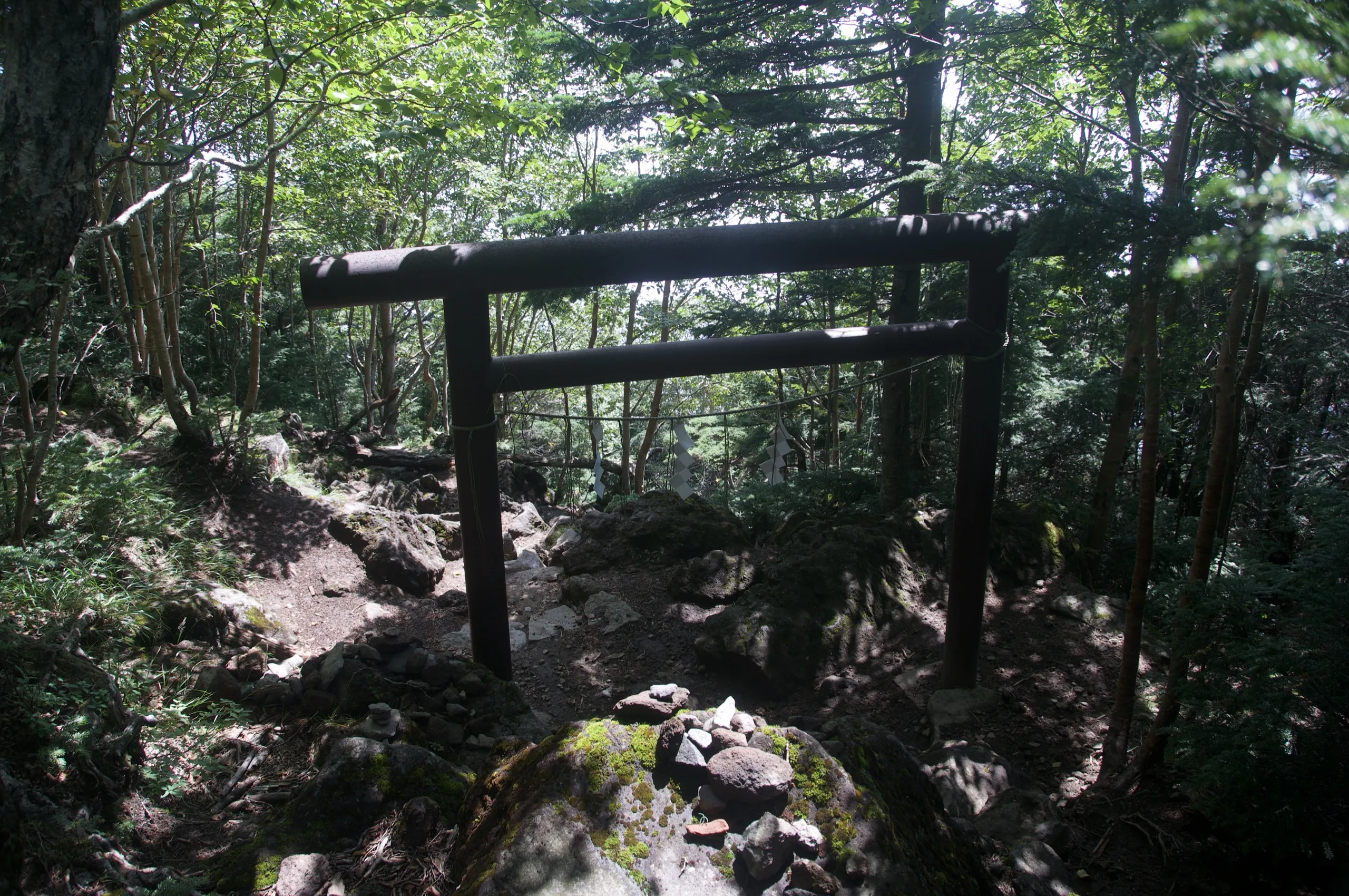 Torii gate on the Mount Nantai hiking trail, Nikko Japan