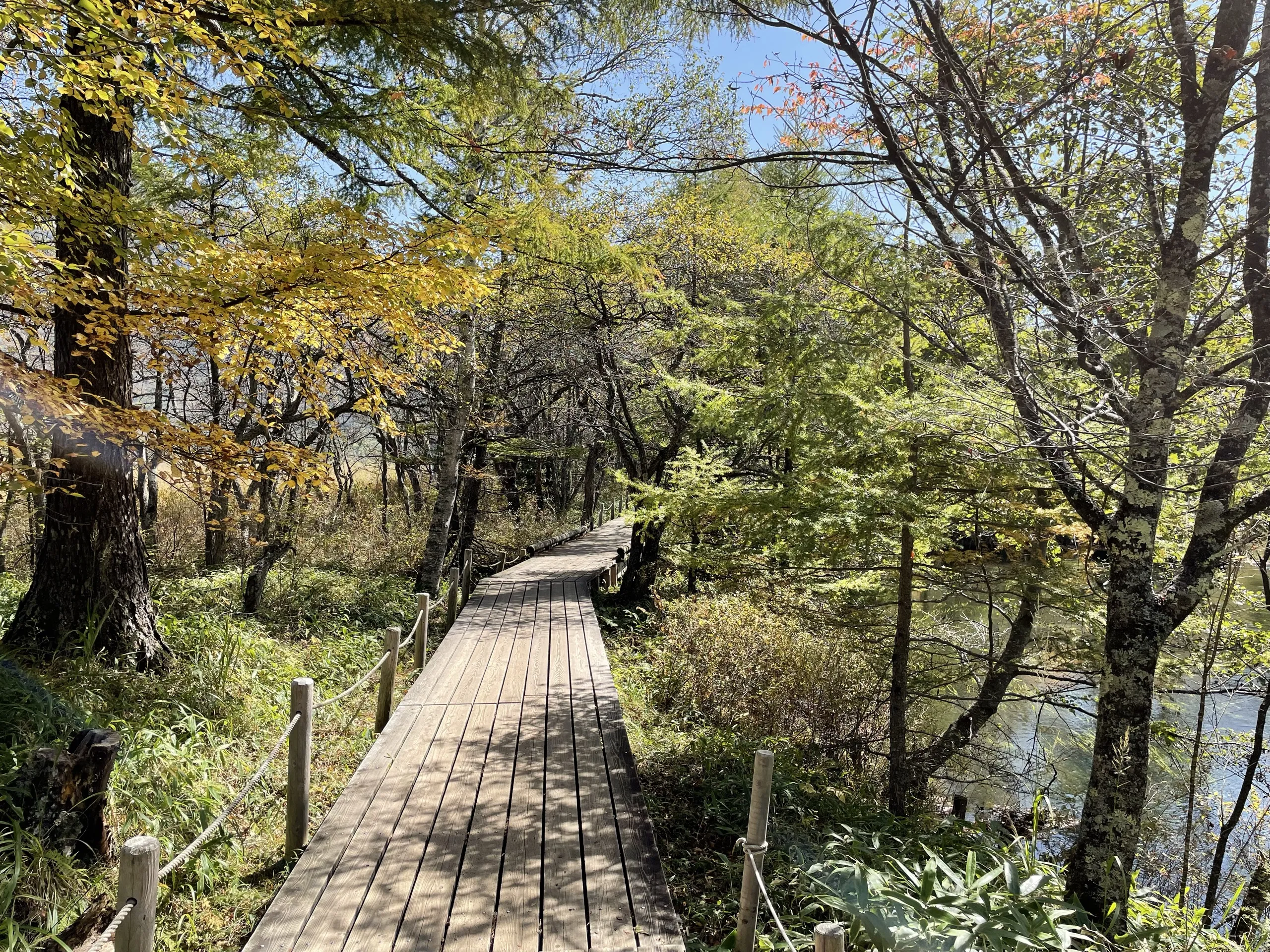 Walking the Senjogahara boardwalk beside the Yukawa (Yu River), Nikko Japan