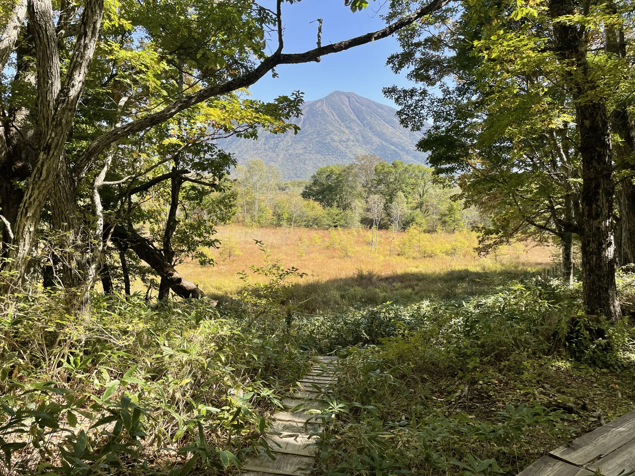 View from the Senjogahara boardwalk across the open marsh fields, Nikko Japan