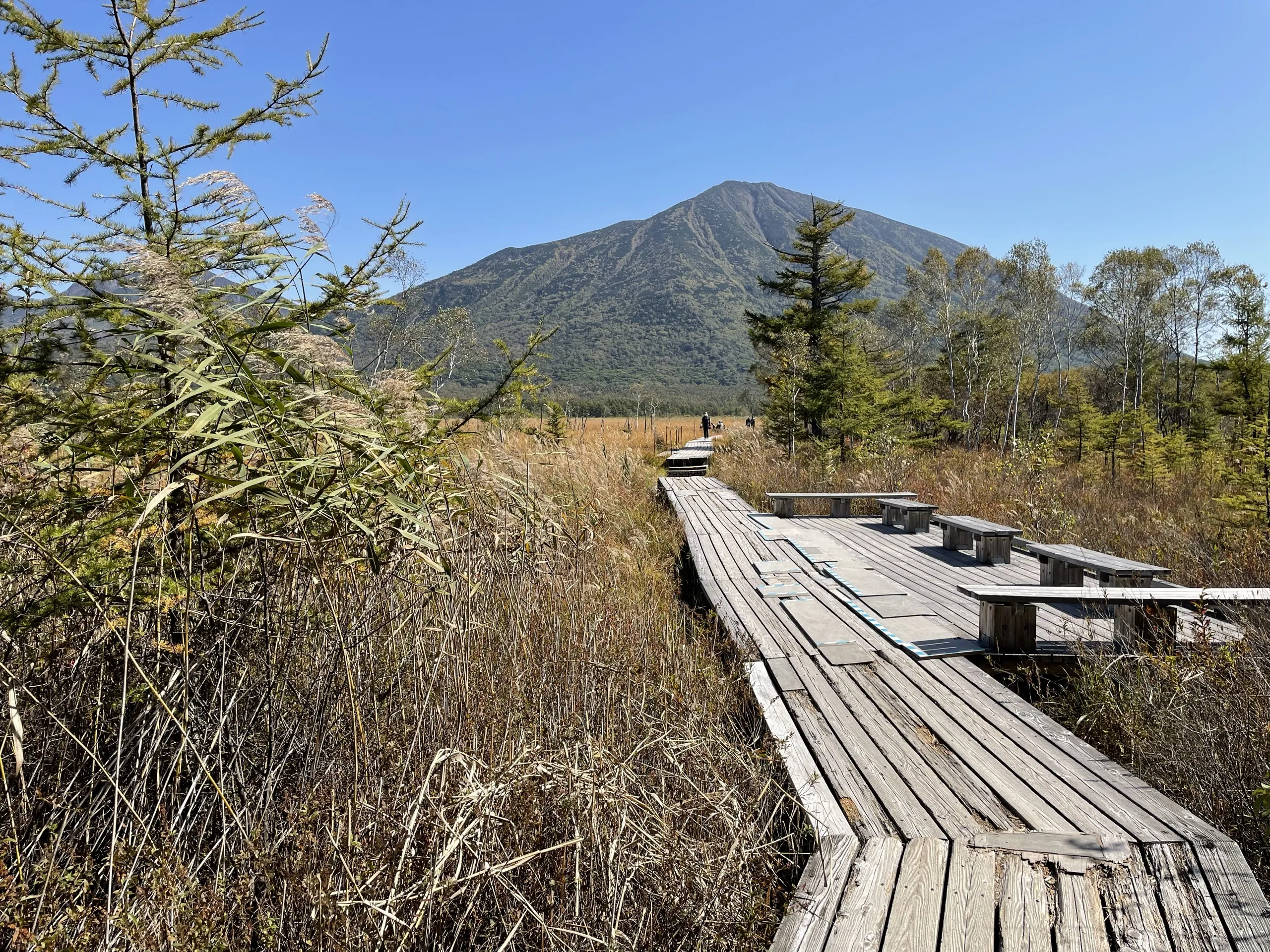 Boardwalk viewing observatory looking over Senjogahara marsh to the mountains, Nikko Japan