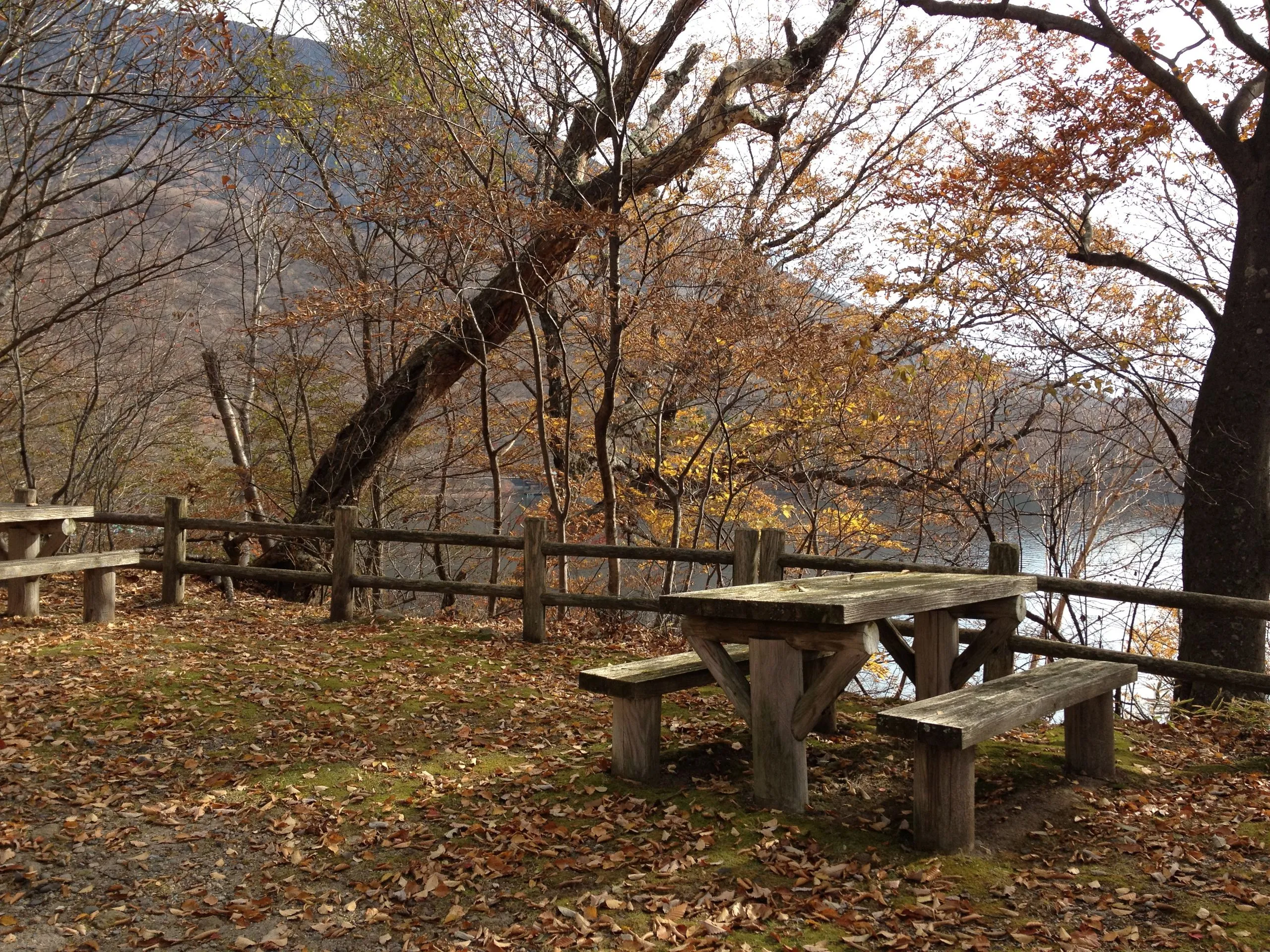 Picnic tables above the lakeshore approaching Shobugahama, Lake Chuzenji north shore trail, Nikko Japan