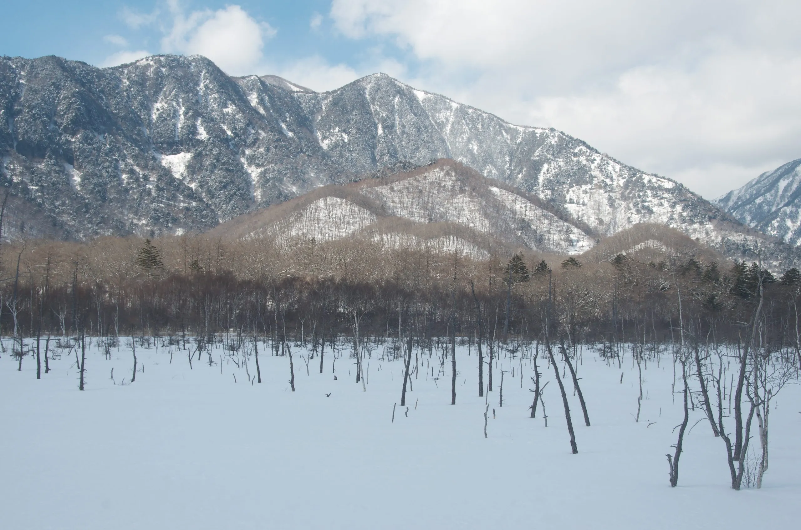 The snow-covered Senjogahara plateau under winter light, Nikko Japan