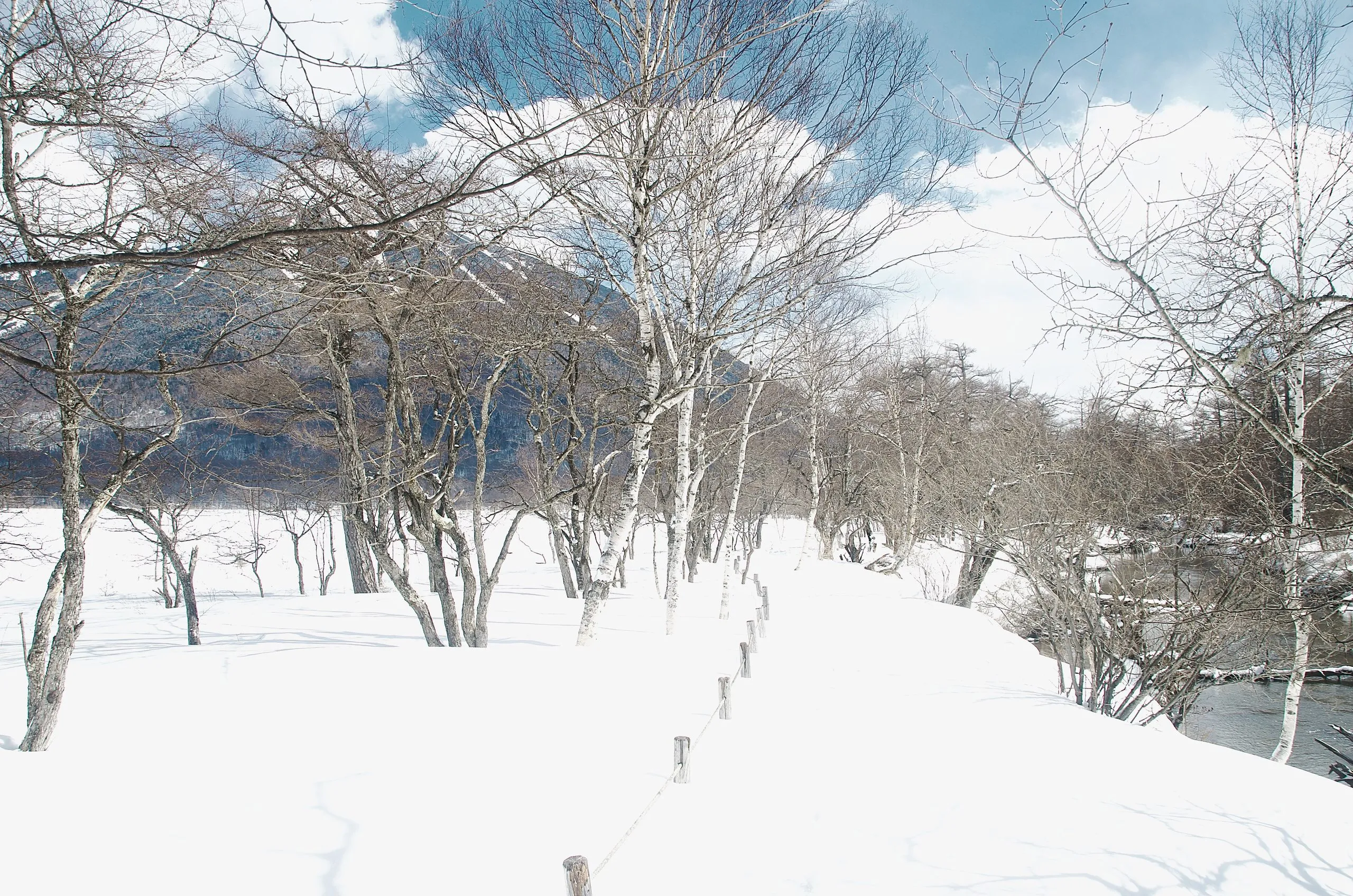 Snow-covered trail alongside the Yukawa, Senjogahara, Nikko Japan