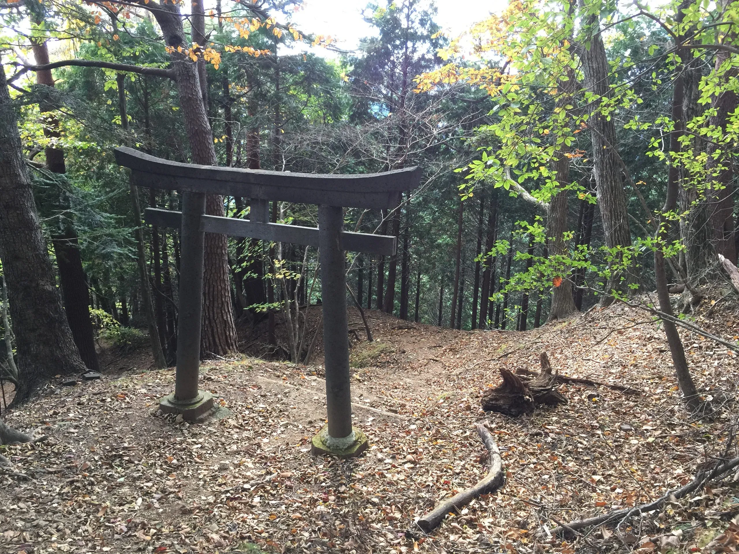 Stone torii gate on the forest path, Mount Toyama hiking trail, Nikko Japan