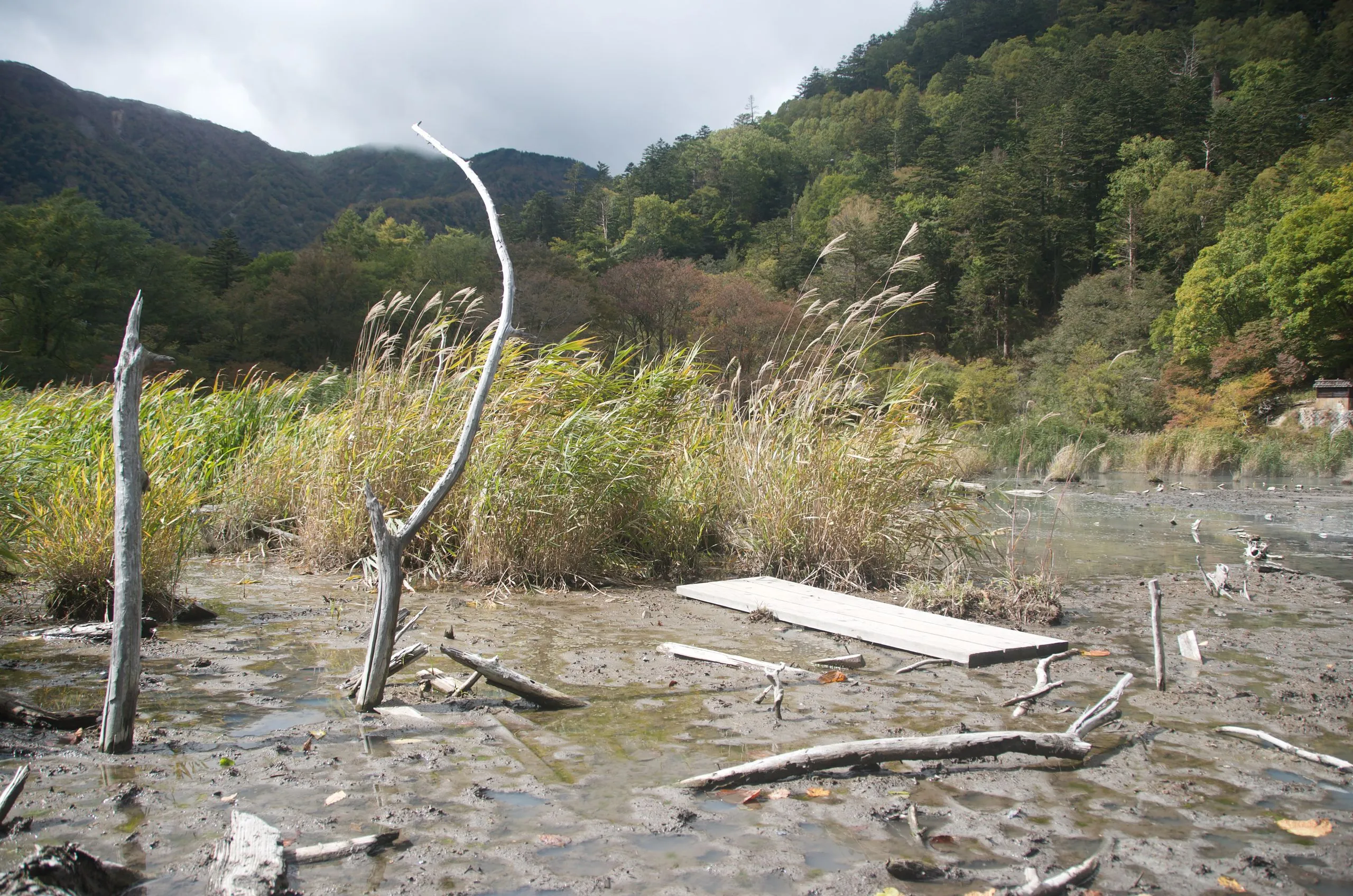Yumoto Onsen source field with wooden vent structures, Nikko Japan