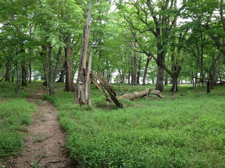 the approaching Lake Chuzenji