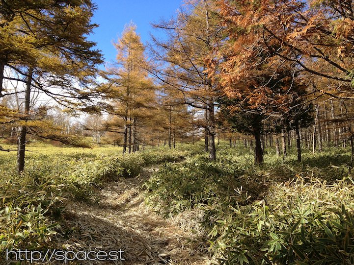 the path at the base of Nyoho Mountain near the Nikko Unesco World Heritage Area
