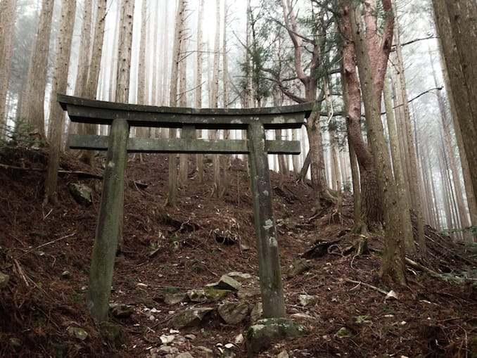 Explore the Majestic Toyama Trail