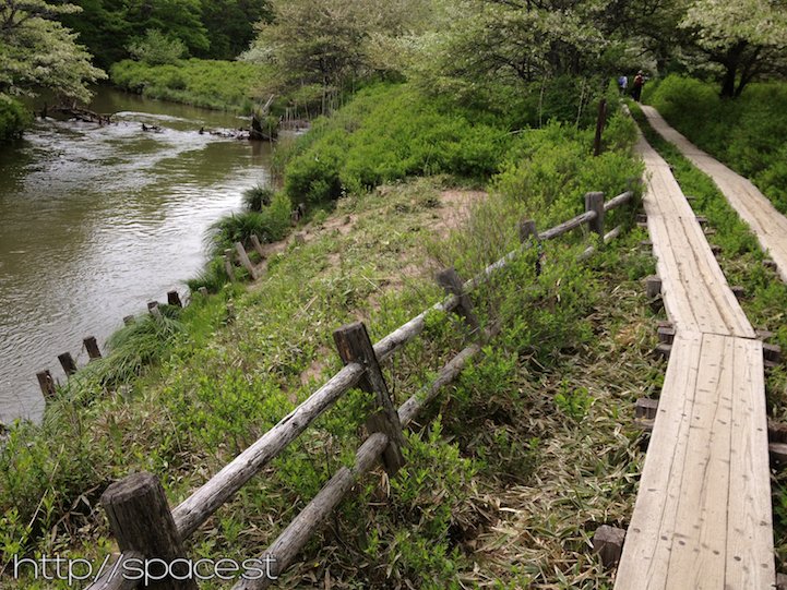 boardwalk along Yu river Senjogahara