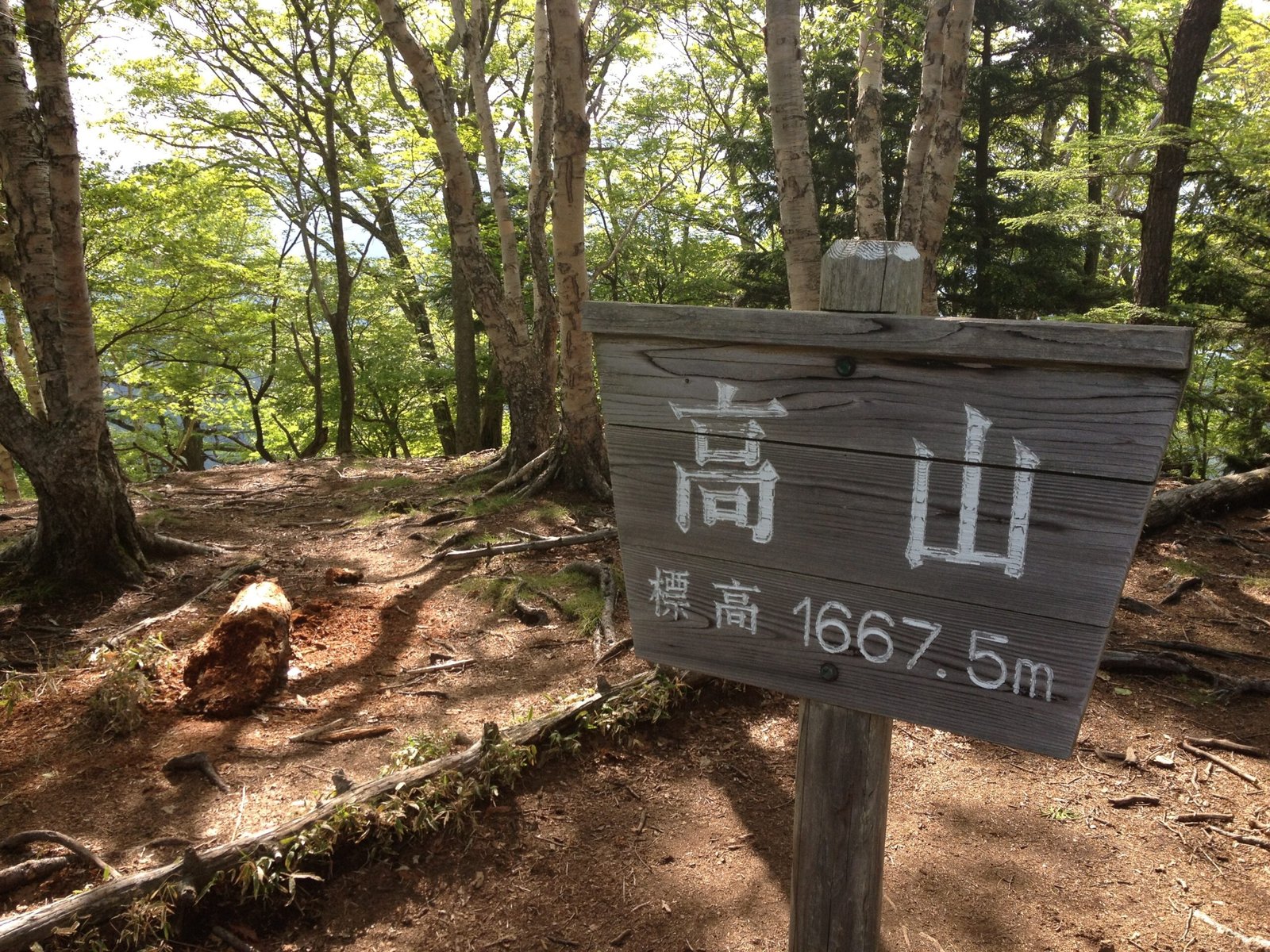 Forested, viewless summit, Takayama hiking trail, Nikko Japan