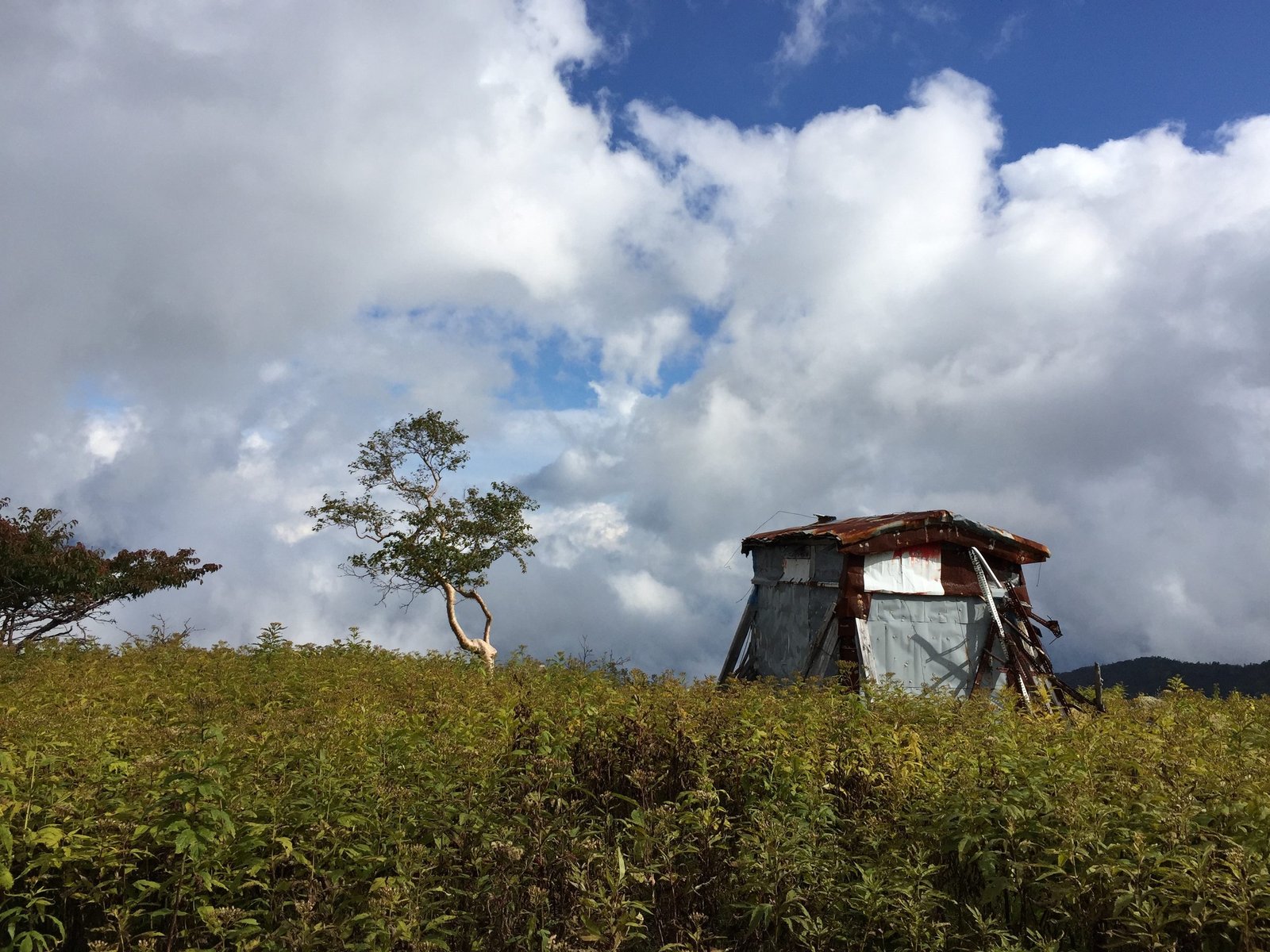 Goshikinuma emergency hut beside the Five-Coloured Ponds on Mount Shirane, Nikko Japan