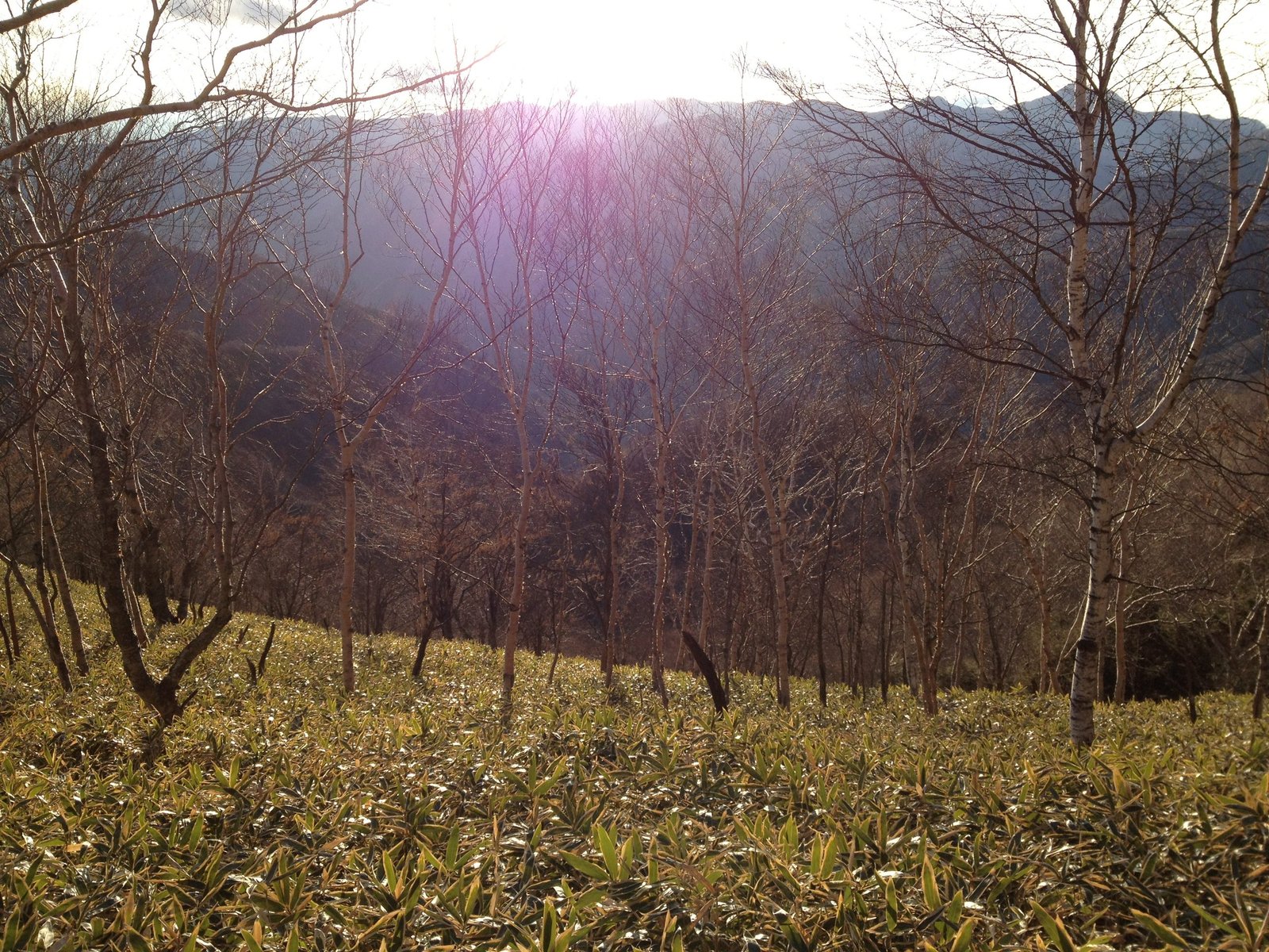 surrounded by beautiful landscapes