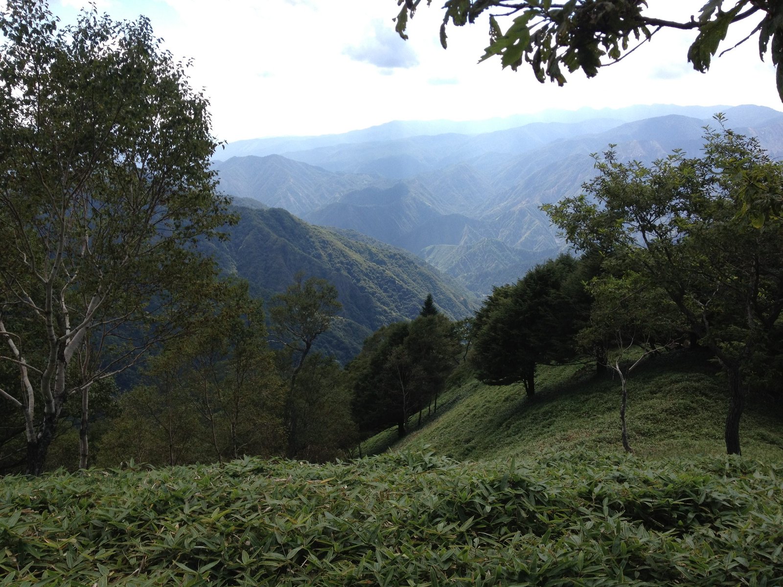 Grassy ridge below the Hangetsu observation deck, Nikko Japan