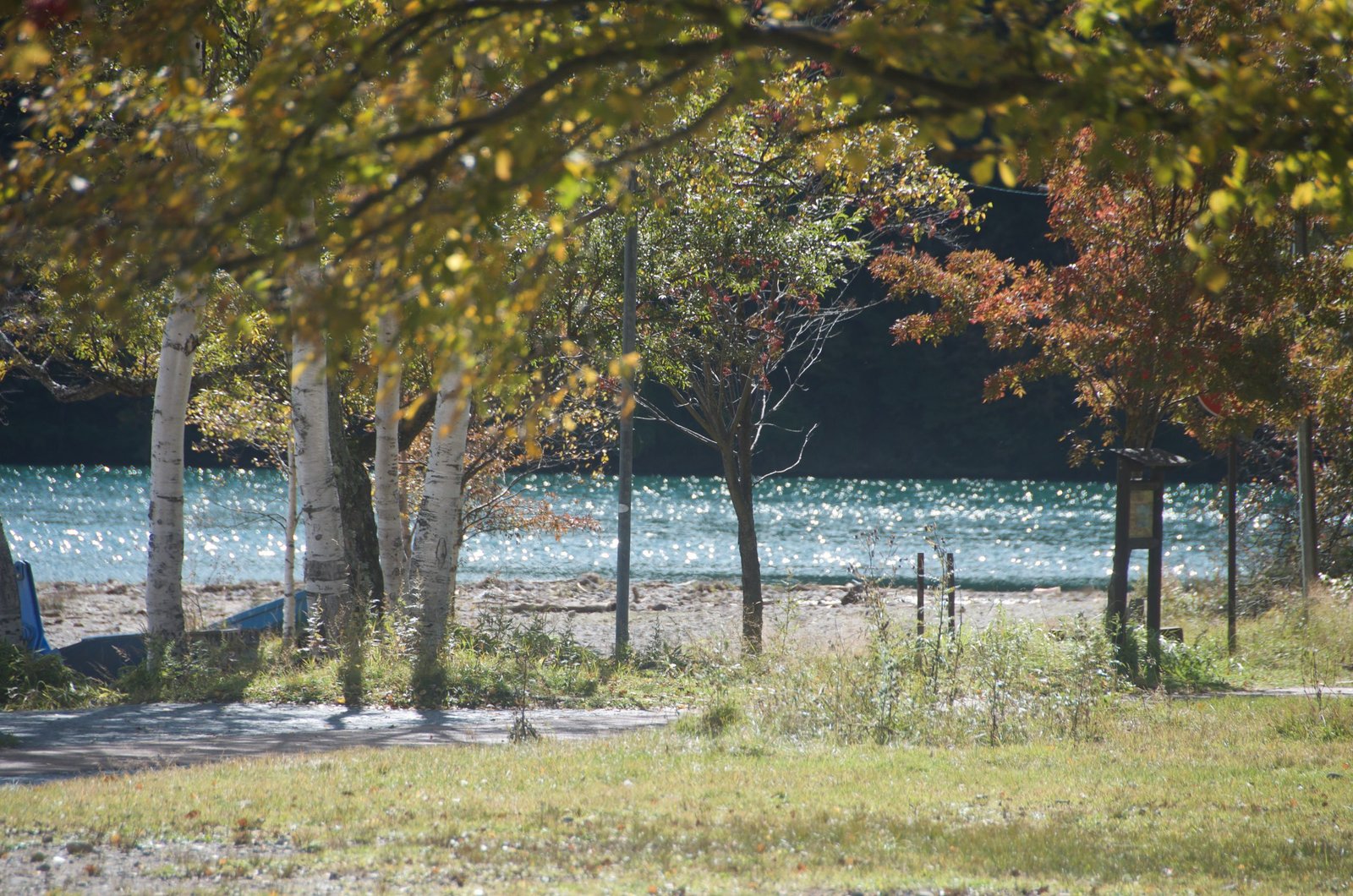 Sunlight shimmering on Lake Yu through shoreline trees, Yunoko, Nikko Japan