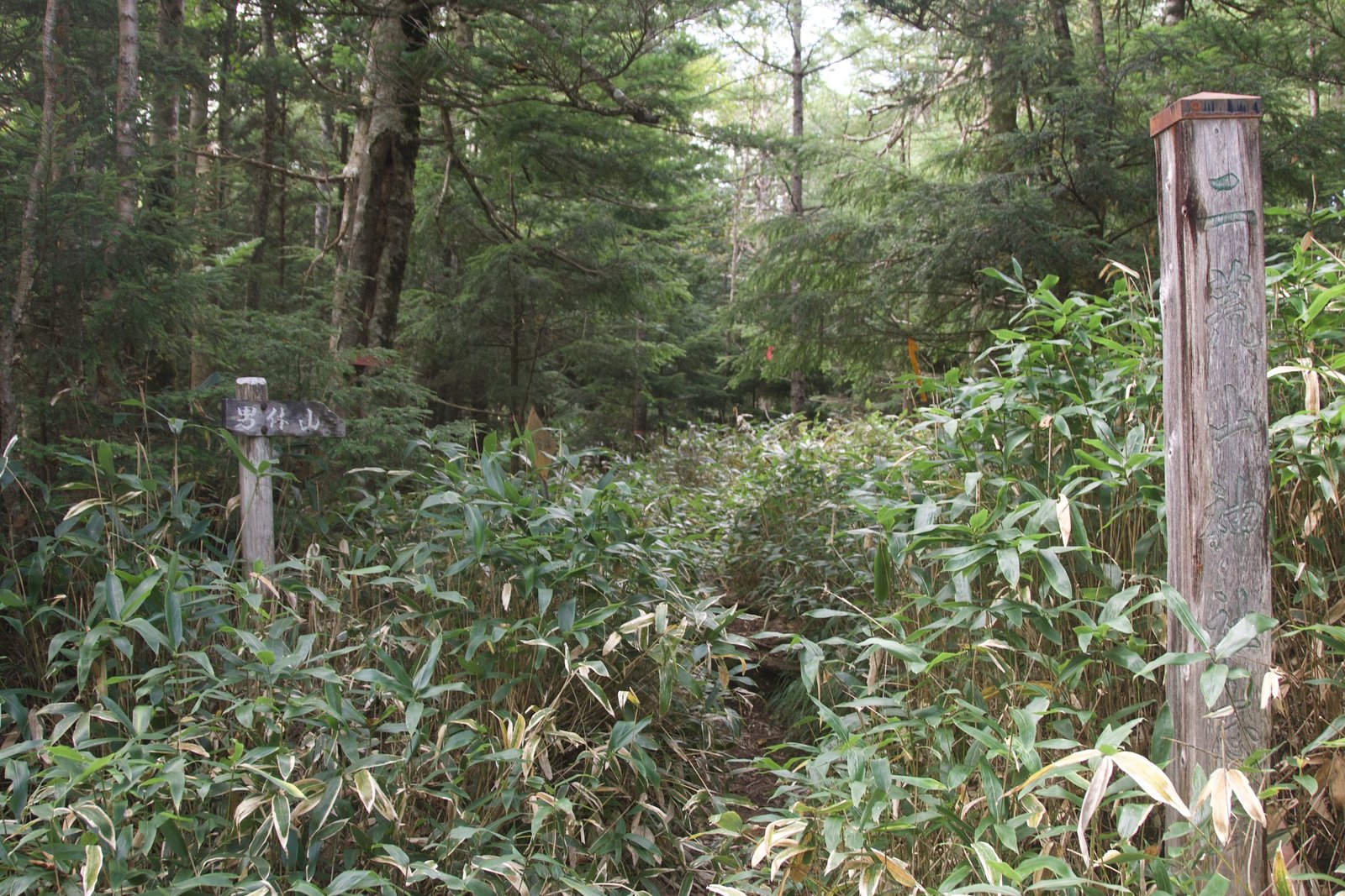 Wooden signpost at the Nantai northern trailhead, Nikko Japan